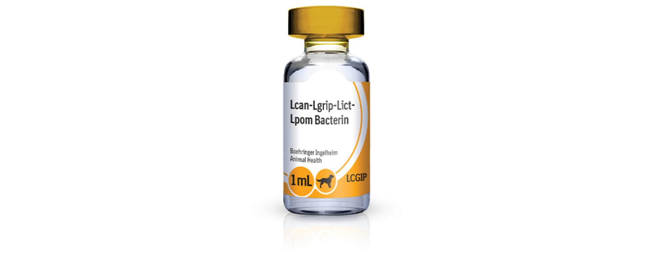 Lepto and lyme deals vaccine for dogs